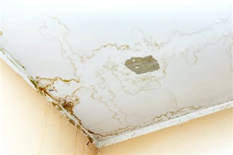 ceiling leaking after shower|Troubleshooting Tips for Ceiling Leaking After。